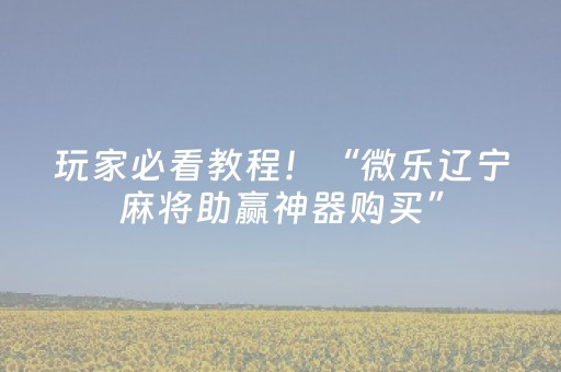 玩家必看教程！“微乐辽宁麻将助赢神器购买”（详细透视教程）-哔哩哔哩