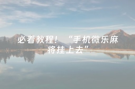 必看教程！“手机微乐麻将挂上去”（详细辅助教程）-哔哩哔哩