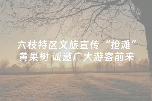 六枝特区文旅宣传“抢滩”黄果树 诚邀广大游客前来“打卡”