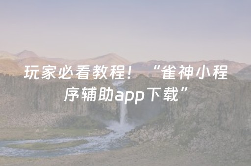 玩家必看教程！“雀神小程序辅助app下载”（详细辅助教程）-哔哩哔哩