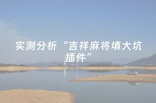 实测分析“吉祥麻将填大坑插件”（详细辅助教程）-哔哩哔哩
