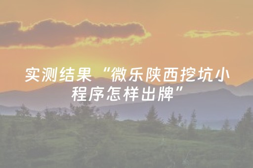 实测结果“微乐陕西挖坑小程序怎样出牌”（详细透视教程）-哔哩哔哩