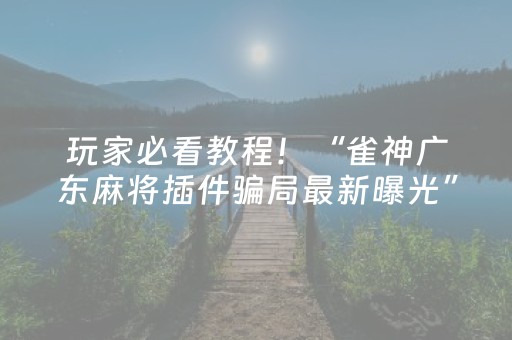 玩家必看教程！“雀神广东麻将插件骗局最新曝光”（详细透视教程）-哔哩哔哩