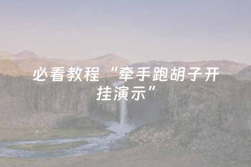 必看教程“牵手跑胡子开挂演示”（详细透视教程）-哔哩哔哩
