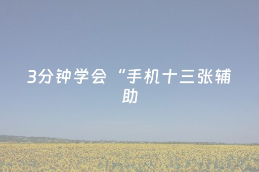 3分钟学会“手机十三张辅助（助赢神器通用版）