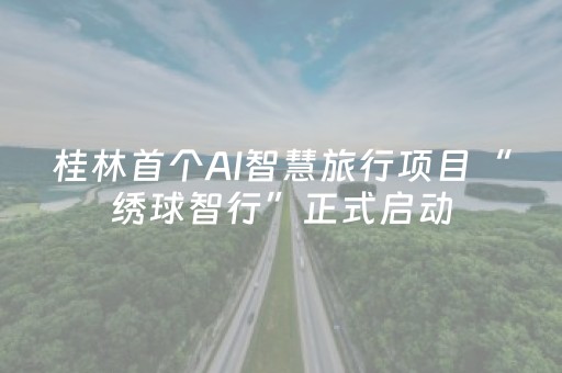 桂林首个AI智慧旅行项目“绣球智行”正式启动