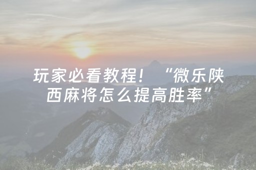 玩家必看教程！“微乐陕西麻将怎么提高胜率”（详细透视教程）-哔哩哔哩