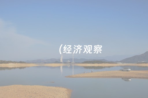 （经济观察）中国暑期红色旅游升温