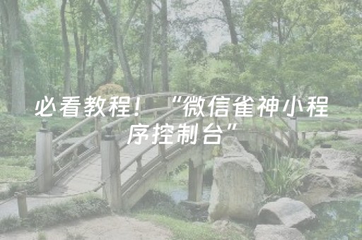 必看教程！“微信雀神小程序控制台”（详细辅助教程）-哔哩哔哩