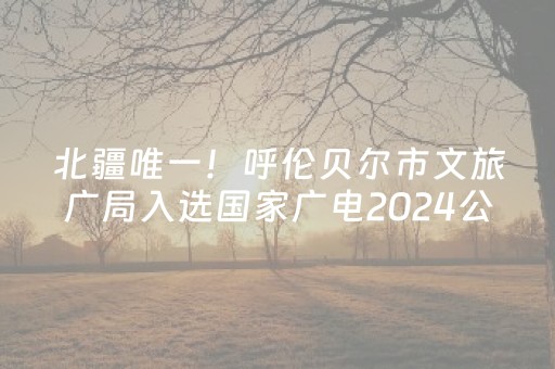 北疆唯一！呼伦贝尔市文旅广局入选国家广电2024公益广告扶持项目