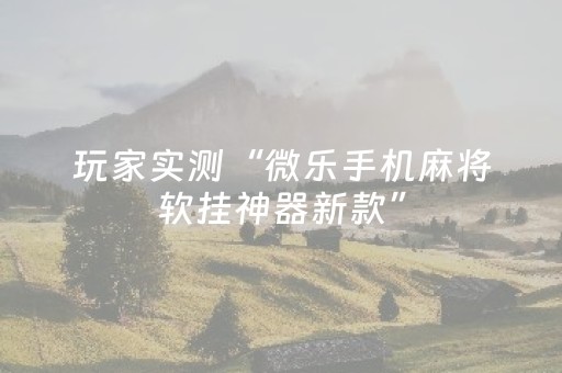 玩家实测“微乐手机麻将软挂神器新款”（详细透视教程）-哔哩哔哩