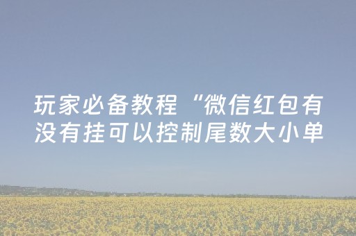 玩家必备教程“微信红包有没有挂可以控制尾数大小单双”（详细透视教程）-哔哩哔哩