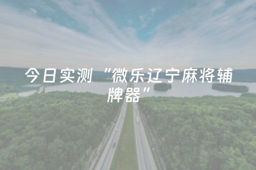 今日实测“微乐辽宁麻将辅牌器”（详细透视教程）-哔哩哔哩