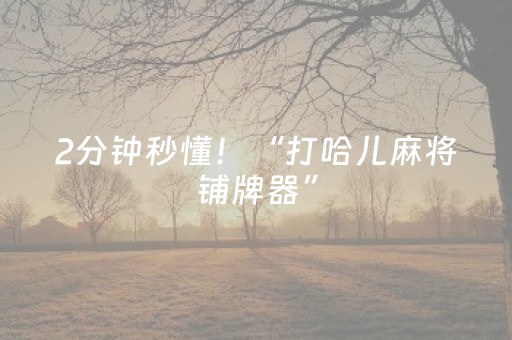 2分钟秒懂！“打哈儿麻将铺牌器”（详细辅助教程）-哔哩哔哩
