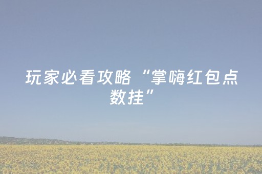 玩家必看攻略“掌嗨红包点数挂”（详细透视教程）-哔哩哔哩