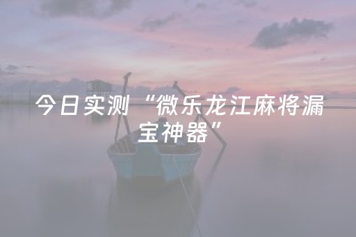 今日实测“微乐龙江麻将漏宝神器”（详细开挂教程）-哔哩哔哩