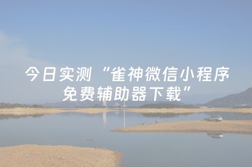 今日实测“雀神微信小程序免费辅助器下载”（详细辅助教程）-哔哩哔哩
