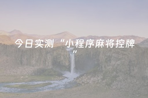 今日实测“小程序麻将控牌”（详细辅助教程）-哔哩哔哩