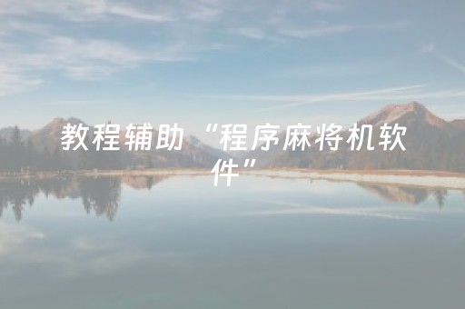 教程辅助“程序麻将机软件”（详细透视教程）-哔哩哔哩