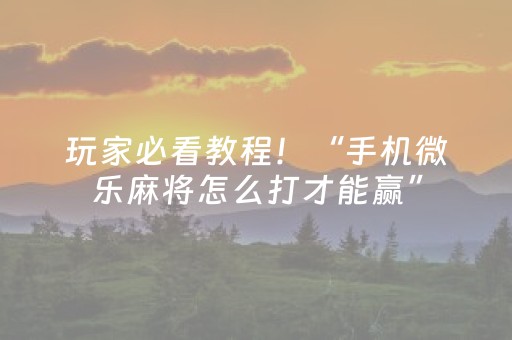 玩家必看教程！“手机微乐麻将怎么打才能赢”（详细辅助教程）-哔哩哔哩