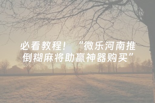 必看教程！“微乐河南推倒糊麻将助赢神器购买”（详细透视教程）-哔哩哔哩