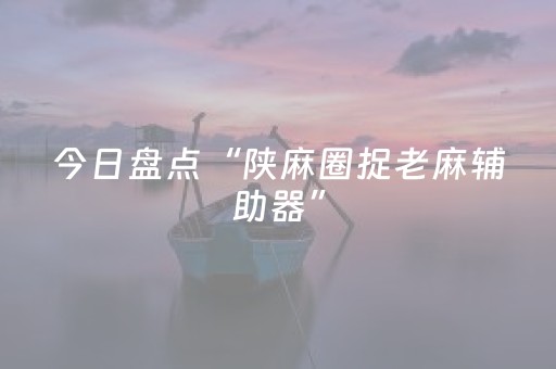 今日盘点“陕麻圈捉老麻辅助器”（详细开挂教程）-哔哩哔哩