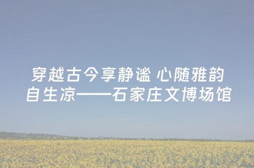 穿越古今享静谧 心随雅韵自生凉——石家庄文博场馆奏响暑期“清凉曲”