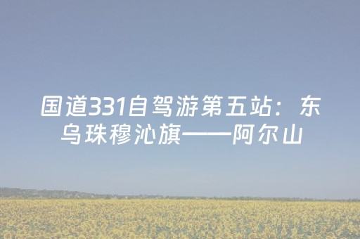 国道331自驾游第五站：东乌珠穆沁旗——阿尔山