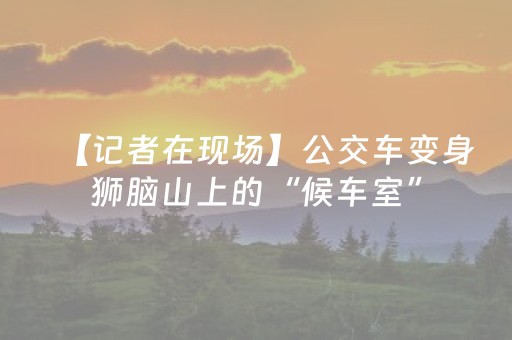【记者在现场】公交车变身狮脑山上的“候车室”