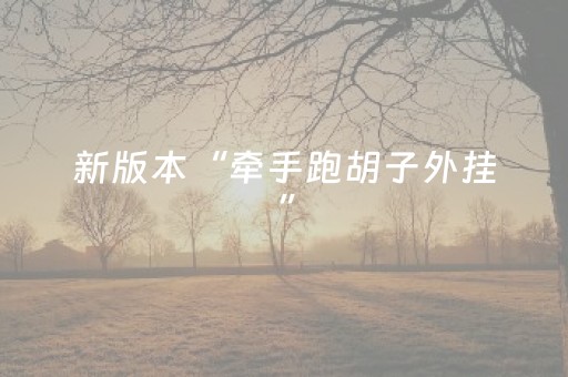新版本“牵手跑胡子外挂”（详细透视教程）-哔哩哔哩