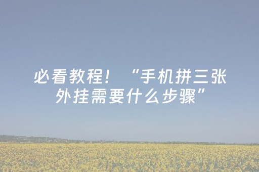 必看教程！“手机拼三张外挂需要什么步骤”（详细透视教程）-哔哩哔哩