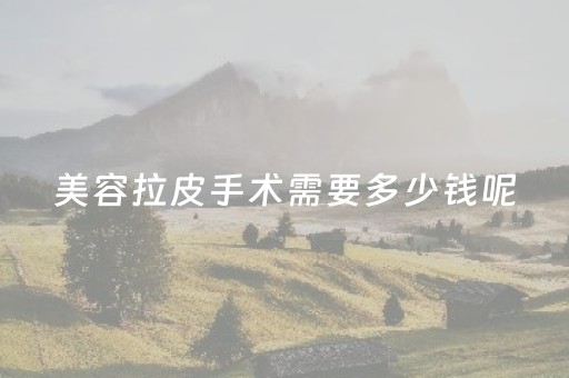 美容拉皮手术需要多少钱呢（美容拉皮手术需要多少钱呢图片）