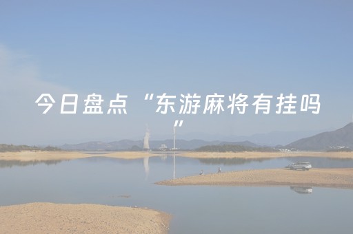 今日盘点“东游麻将有挂吗”（详细透视教程）-哔哩哔哩