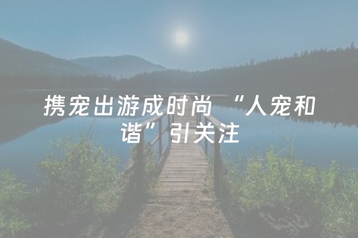 携宠出游成时尚 “人宠和谐”引关注