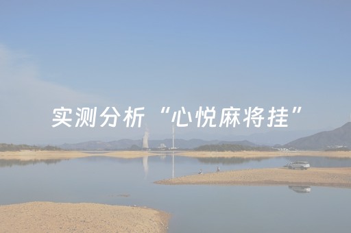 实测分析“心悦麻将挂”（详细开挂教程）-哔哩哔哩