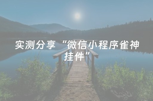 实测分享“微信小程序雀神挂件”（详细透视教程）-哔哩哔哩