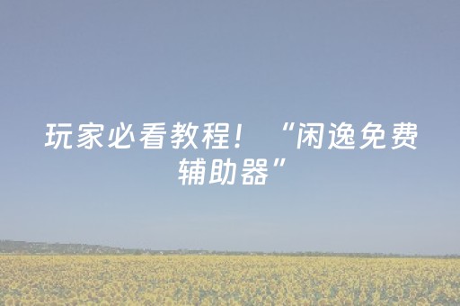 玩家必看教程！“闲逸免费辅助器”（详细开挂教程）-哔哩哔哩