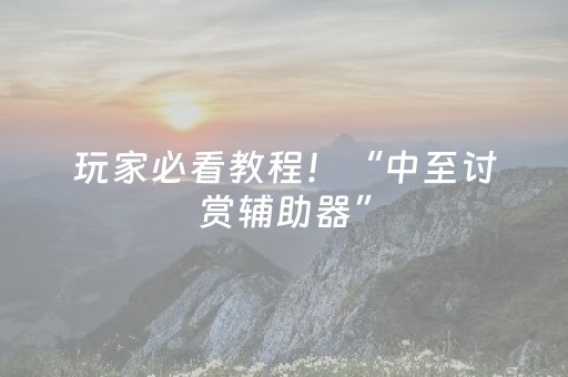 玩家必看教程！“中至讨赏辅助器”（详细辅助教程）-哔哩哔哩