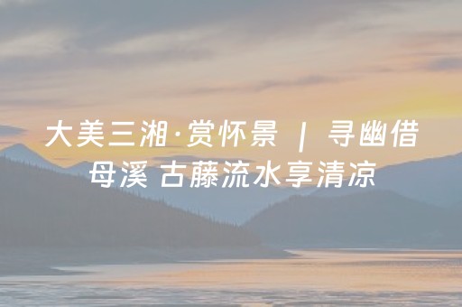 大美三湘·赏怀景 ｜ 寻幽借母溪 古藤流水享清凉