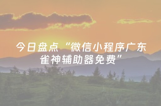今日盘点“微信小程序广东雀神辅助器免费”（详细辅助教程）-哔哩哔哩