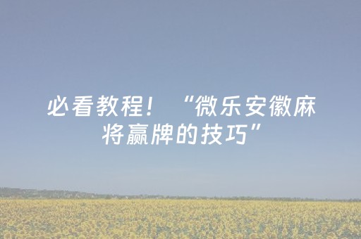 必看教程！“微乐安徽麻将赢牌的技巧”（详细辅助教程）-哔哩哔哩