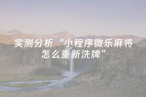 实测分析“小程序微乐麻将怎么重新洗牌”（详细辅助教程）-哔哩哔哩