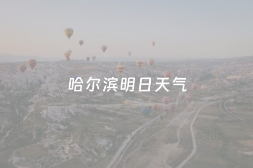 哈尔滨明日天气（哈尔滨明日天气二十四小时）