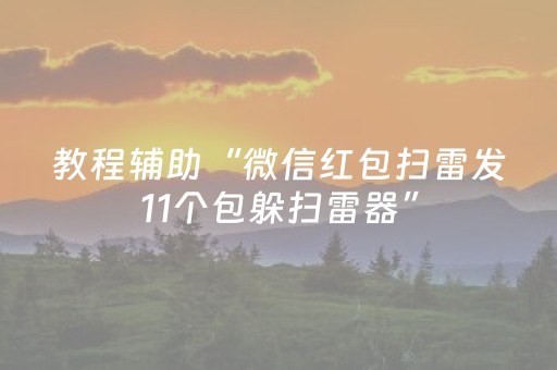 教程辅助“微信红包扫雷发11个包躲扫雷器”（详细透视教程）-哔哩哔哩