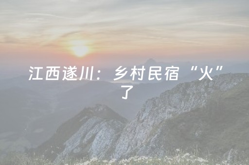 江西遂川：乡村民宿“火”了