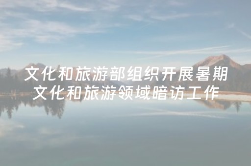 文化和旅游部组织开展暑期文化和旅游领域暗访工作