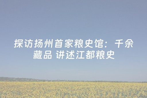 必装软件神器呀!嘻嘻红中麻将有没有挂(怎么才有赢的几率)