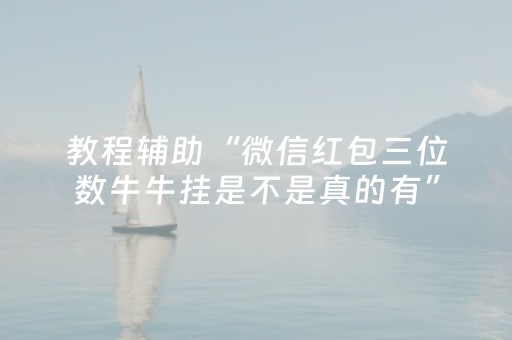教程辅助“微信红包三位数牛牛挂是不是真的有”（详细透视教程）-哔哩哔哩