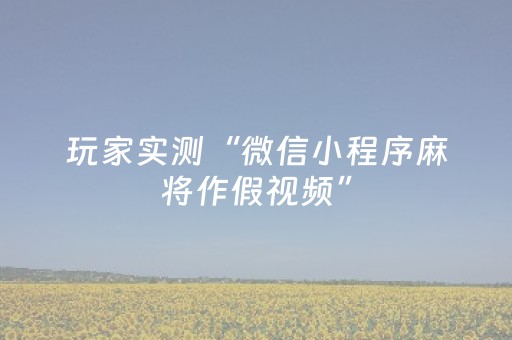 玩家实测“微信小程序麻将作假视频”（详细透视教程）-哔哩哔哩