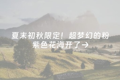 超神软件工具!微乐手机麻将助赢神器(有什么赢的技巧)